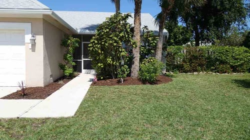 front of house with lawn and tree