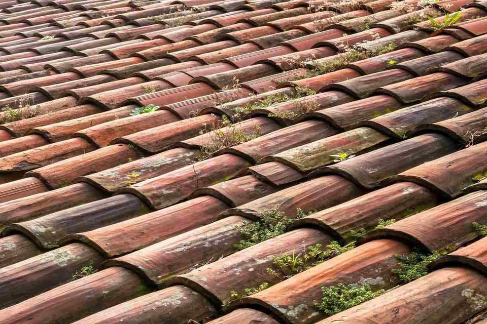 weathered roof tiles