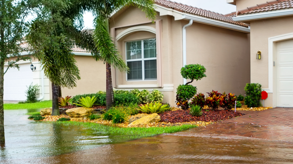 Cost of Impact Windows in Florida