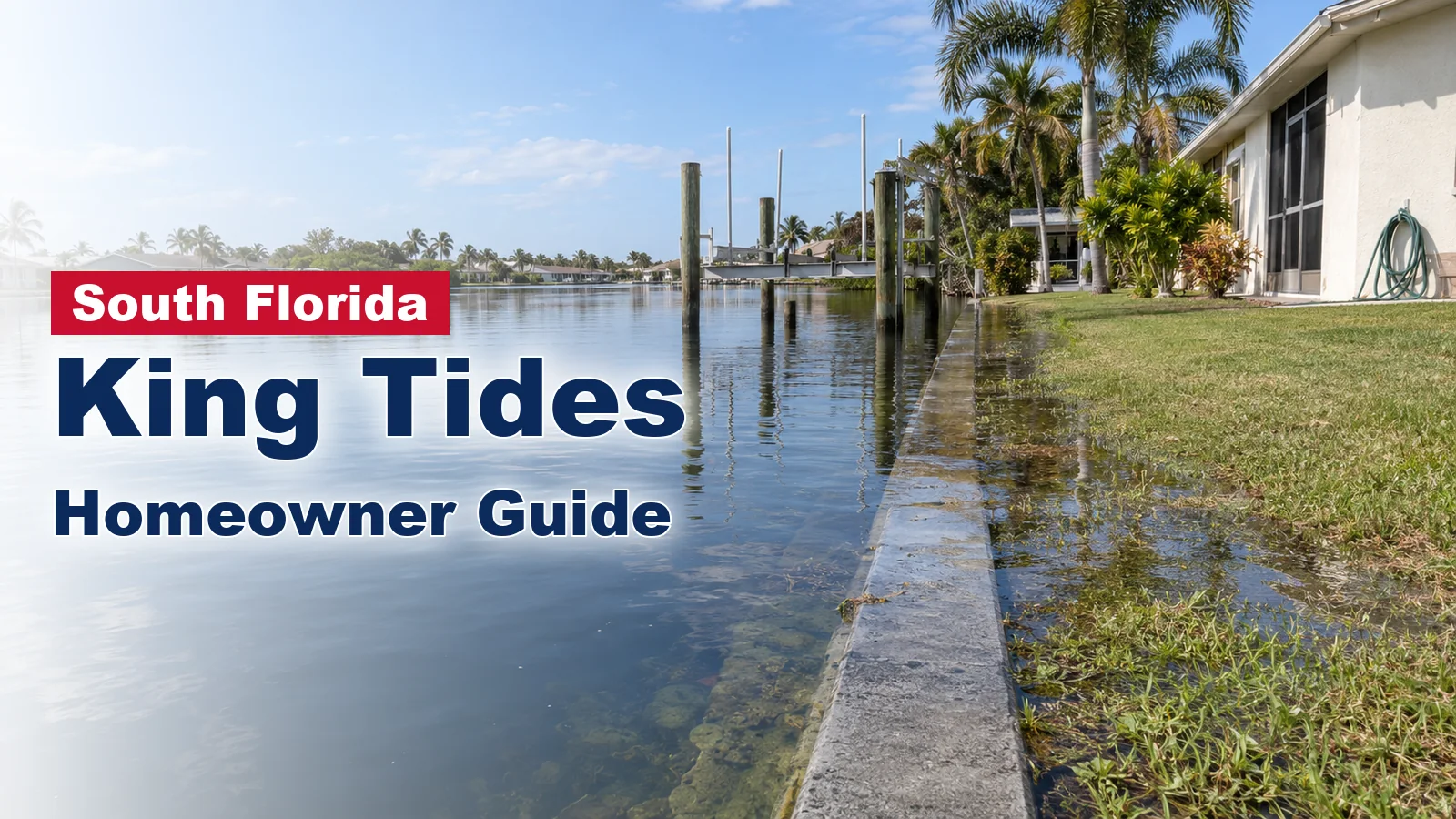 King Tide water rising over a canal seawall onto a South Florida back yard
